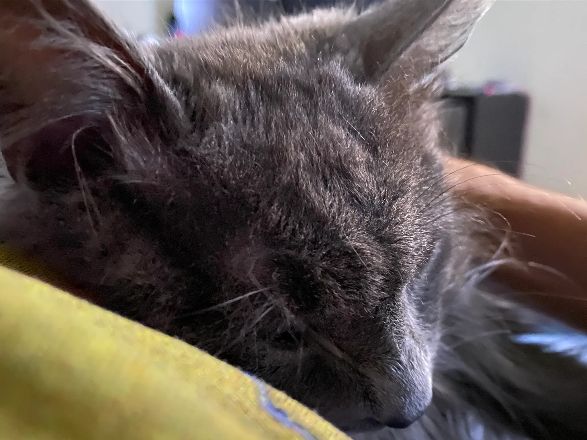 Logistic regression gradient descent convergence on MNIST digits