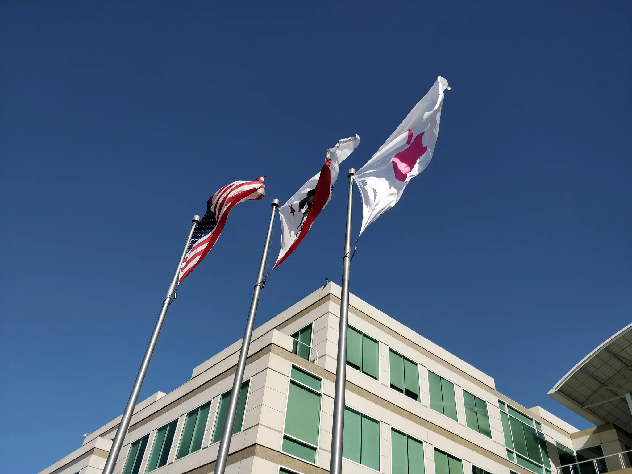 Mean-shift tracker following an object across video frames