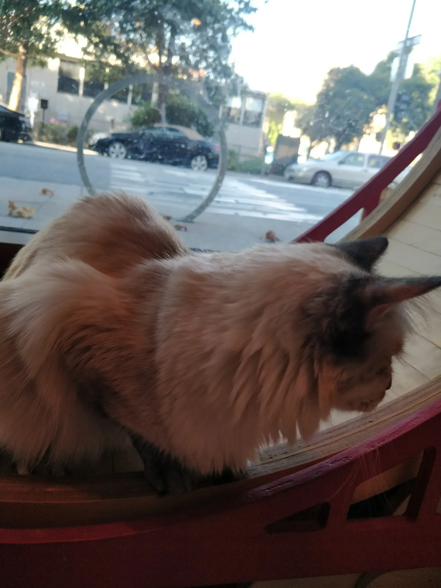 Harris corner detections overlaid on a checkerboard image