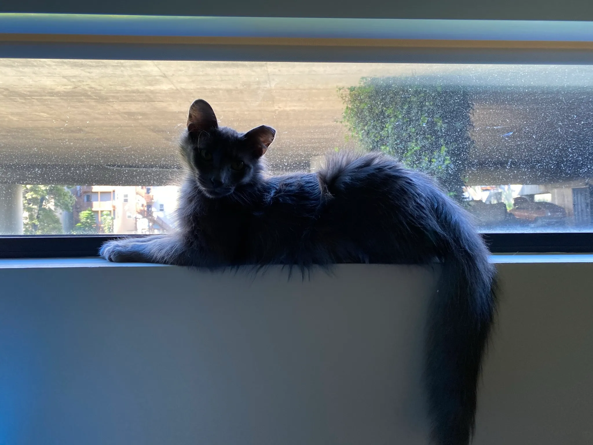 Logistic regression decision boundary separating exam score clusters