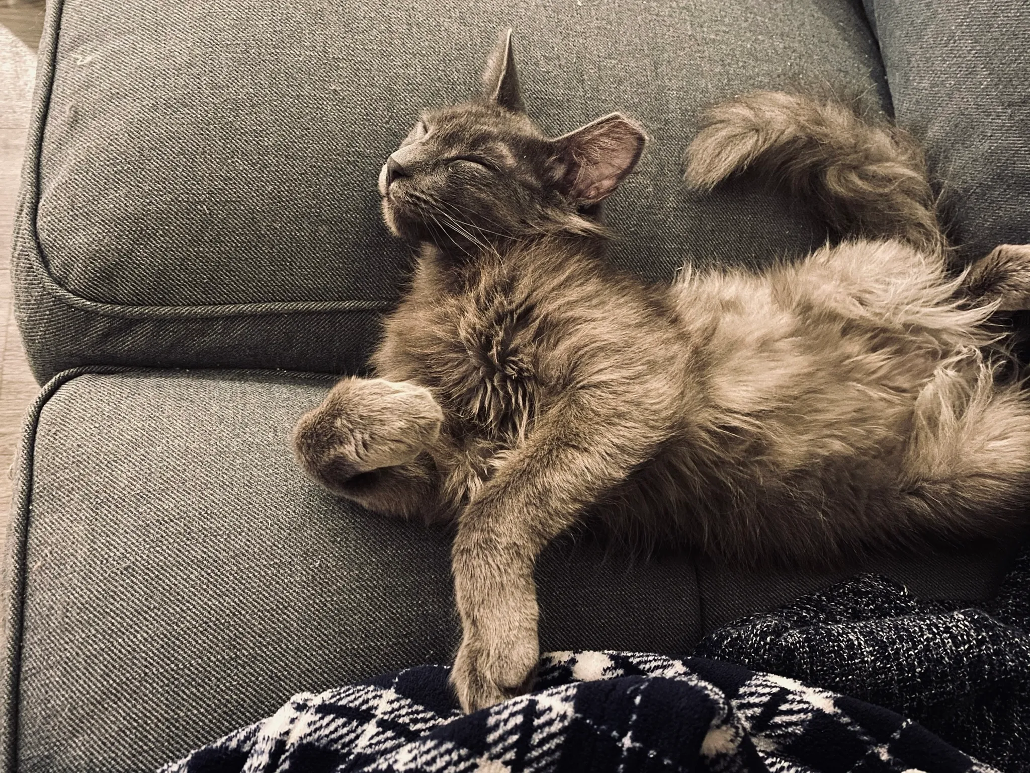 Weighted finite-state transducer diagram for speech recognition