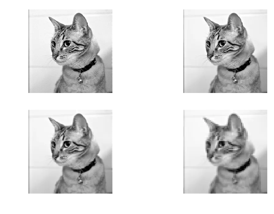 4-layer Gaussian pyramid of murder_mittens.png